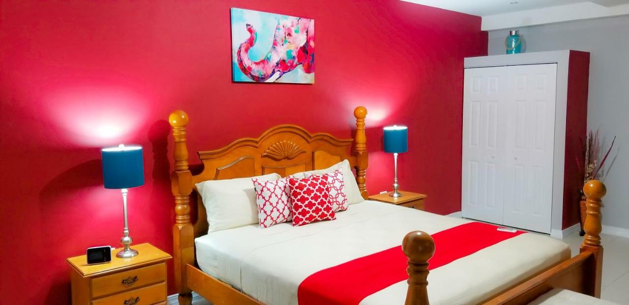 New Kingston Guest Apartments @ Donhead Eksteriør billede